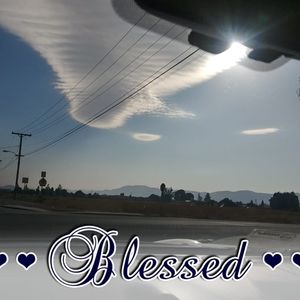 Meet your Posher, Larry